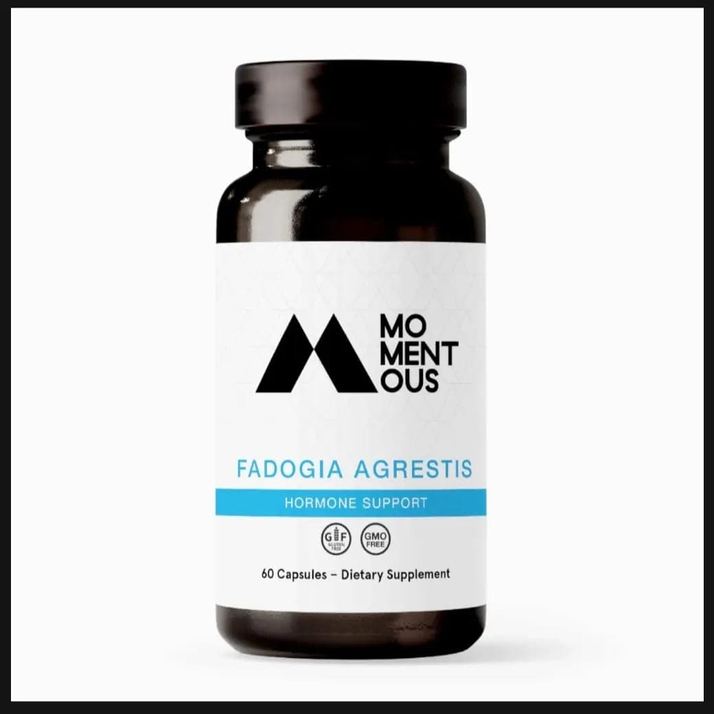 Momentous Fadogia Agrestis